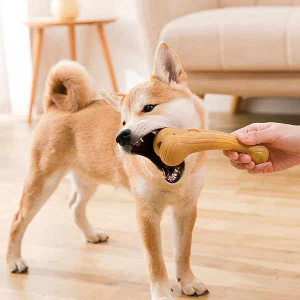 PET DOG CHEW TOYS MOLAR